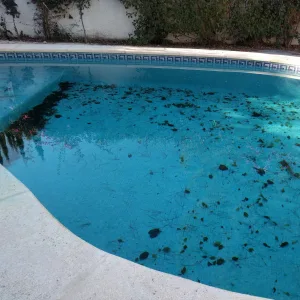 What happens if you don't keep leaves and dirt out of your pool