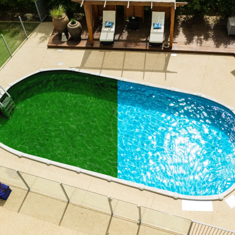 How to Clean a Green Pool: Simple 8 Steps Guide