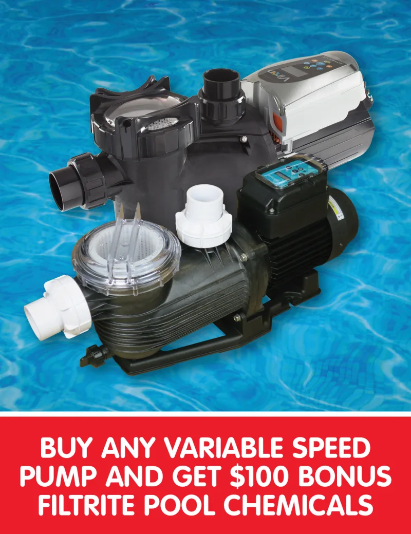 Variable pool speed pump