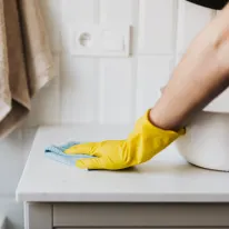 Bleach Cleaners