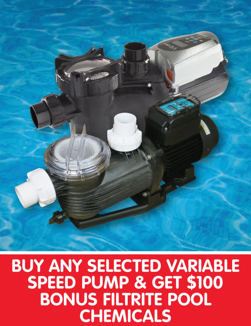 Variable speed pump