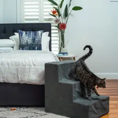 Pet Stairs 2 Large Steps