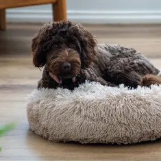 Donut Faux Fur Pet Bed Medium