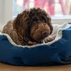 Soft Pet Bed Medium